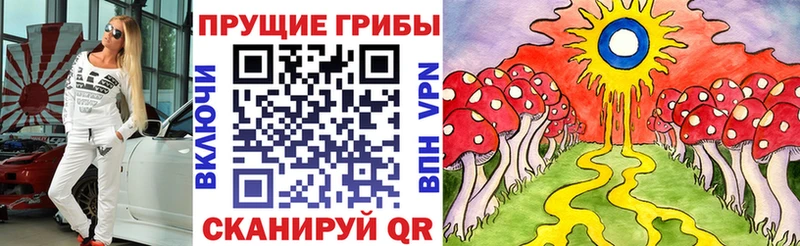 Псилоцибиновые грибы ЛСД Плавск